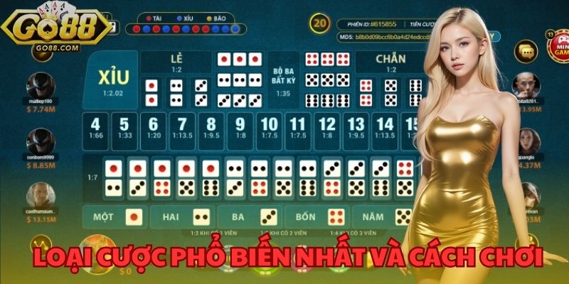 Hướng dẫn cách cược các hình thức tại Sicbo GO88