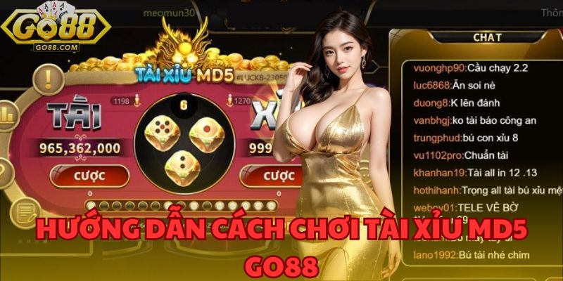 Hướng dẫn cách chơi tài xỉu MD5 GO88 - Đơn giản và dễ hiểu